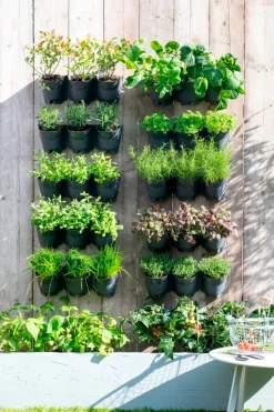 Intratuin Wand-Blumentopf für vertikalen Garten 48 x 18 x 16 cm