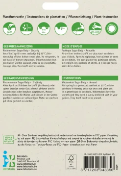 Intratuin Wassermelone (Citrullus lanatus 'Sugar Baby') Samen