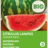 Intratuin Wassermelone Samen (Citrullus lanatus 'Crimson Sweet') (BIO) Samen