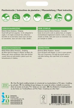 Intratuin Weiße Rübe (Beta vulgaris 'Albina Vereduna') Samen
