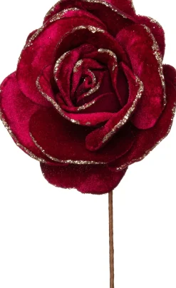 Intratuin Weihnachtsblume Rose bordeaux D 20 H 11 cm