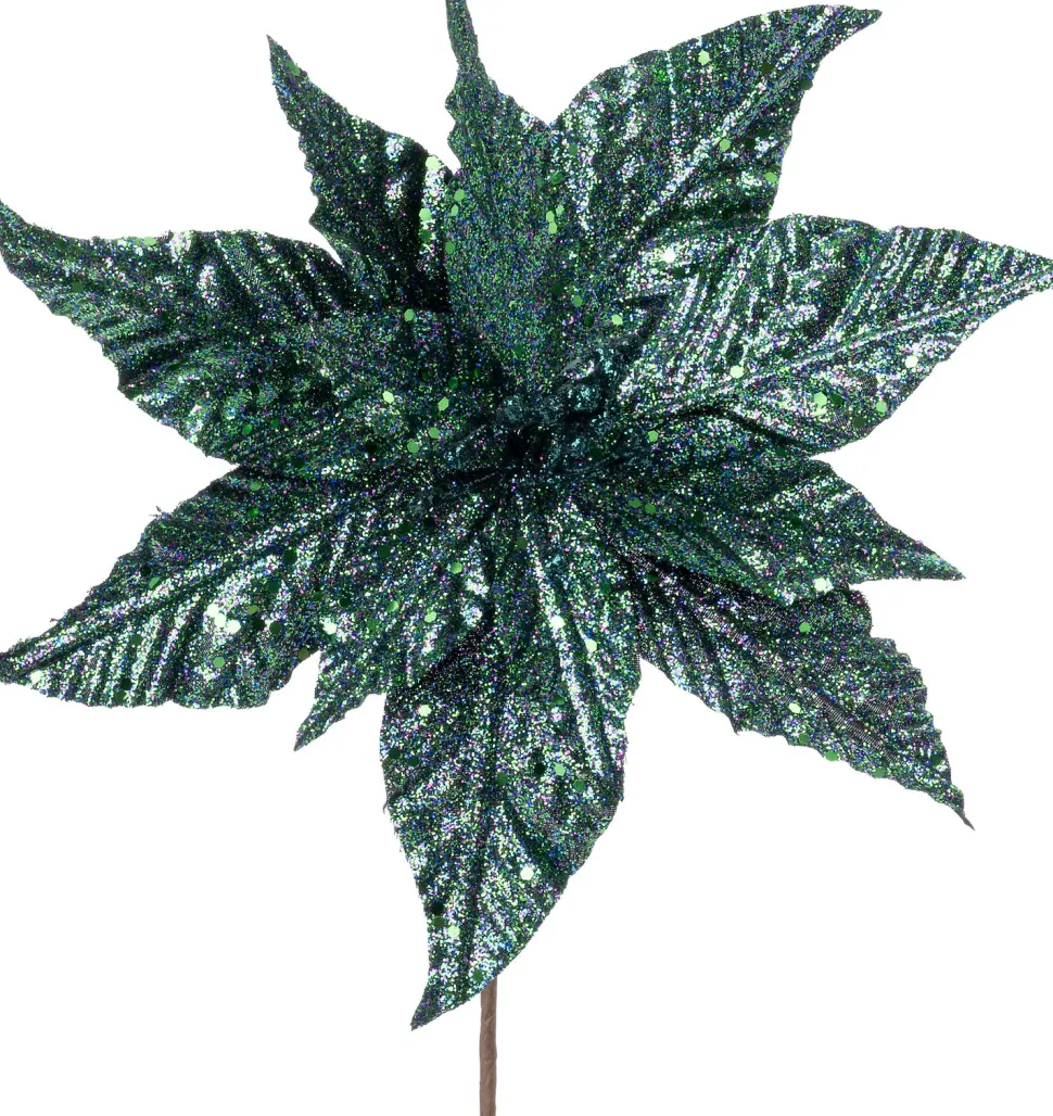 Intratuin Weihnachtsblume Amaze blau 25 cm