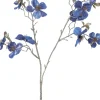 Intratuin Weihnachtsblume Pfirsichblüte blau H 50 cm