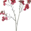 Intratuin Weihnachtsblume Pfirsichblüte rot H 50 cm