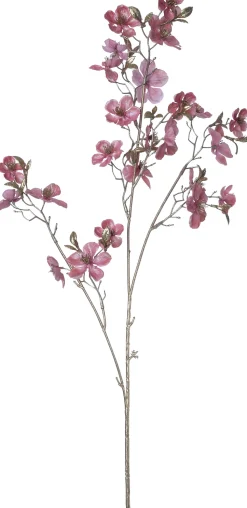 Intratuin Weihnachtsblume Pfirsichblüte rosa H 87 cm