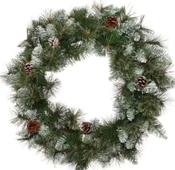 Intratuin Weihnachtskranz beschneit D 45 H 12 cm