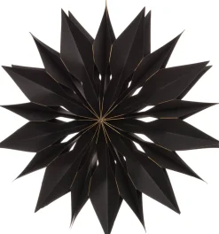 Intratuin Weihnachtsstern schwarz 50 x 7,5 x 50 cm