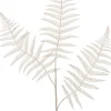 Intratuin Weihnachtszweig Farnblatt weiß 78 cm