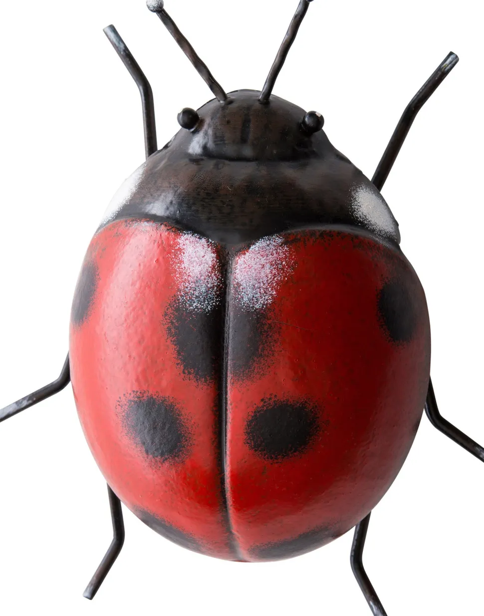 Intratuin Wetterfestes Bild Marienkäfer rot / schwarz 16 x 14 x 6,5 cm