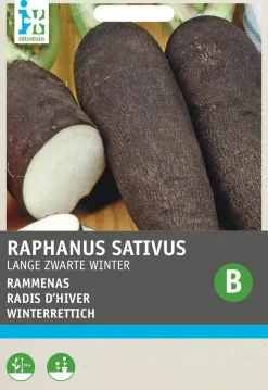 Intratuin Winterrettich (Raphanus sativus 'Langer Schwarzer') Samen