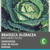 Intratuin Wirsing (Brassica oleracea 'Brüsseler Winter') Samen