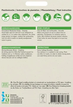 Intratuin Wirsing (Brassica oleracea 'Brüsseler Winter') Samen