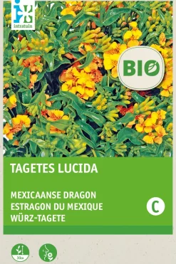 Intratuin Würz-Tagetes (Tagetes lucida) (BIO) Samen