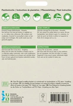 Intratuin Zichoriensalat (Cichorium intybus 'Pan Di Zucchero') Samen