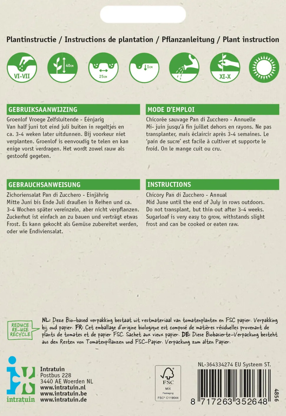 Intratuin Zichoriensalat (Cichorium intybus 'Pan Di Zucchero') Samen