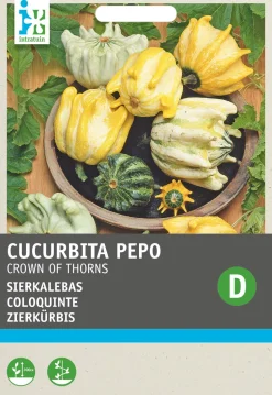 Intratuin Zierkürbis (Cucurbita 'Crown of Thorns') Samen