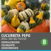 Intratuin Zierkürbis (Cucurbita pepo) Samen-Mischung