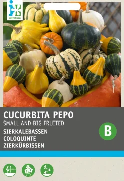 Intratuin Zierkürbis (Cucurbita pepo) Samen-Mischung