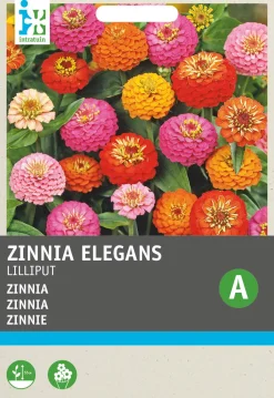 Intratuin Zinnie (Zinnia elegans 'Pompon') Blumensamen-Mischung