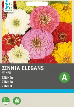 Intratuin Zinnie (Zinnia elegans) Blumensamen-Mischung