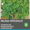 Intratuin Zitronenmelisse (Melissa officinalis) Samen