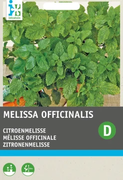 Intratuin Zitronenmelisse (Melissa officinalis) Samen
