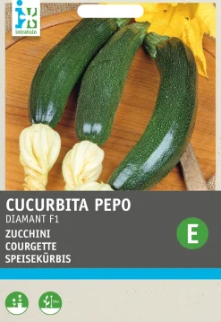 Intratuin Zucchini (Cucurbita pepo 'Diamant F1 hybride') Samen