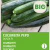 Intratuin Zucchini (Curcurbita pepo 'Dunja') (BIO) Samen