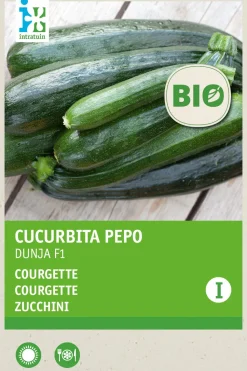 Intratuin Zucchini (Curcurbita pepo 'Dunja') (BIO) Samen