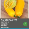 Intratuin Zucchini gelb (Cucurbita pepo 'Gold Rush') Samen