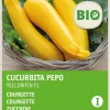 Intratuin Zucchini gelb (Curcurbita pepo 'Yellowfin') (BIO) Samen