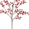 Intratuin Zweig mit Beeren 80 cm rot