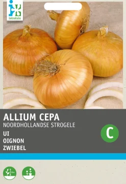 Intratuin Zwiebel (Allium cepa 'Strohgelbe') Samen