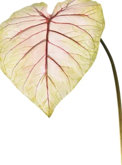 Jasaco Kunstzweig Kaladie rosa grün 113 cm