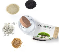 Just add Plants Pflanzenterrarium Glas mit Korken D 19 H 30 cm