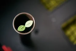 Keter Hochbeet Urban Bloomer anthrazit 48 l