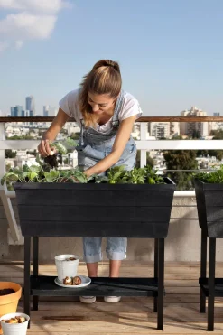 Keter Hochbeet Urban Bloomer anthrazit 48 l