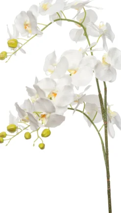 Künstliche Orchidee (Phalaenopsis) groß weiß 137 cm