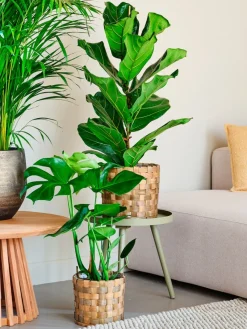 Korb Elias D 22 H 19,5 cm braun