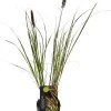 Lampenputzergras (Pennisetum alopecuroides 'Viridescens') D 17 H 80 cm
