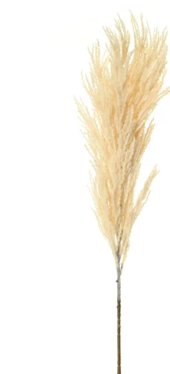 Louis Maes Kunstzweig Pampasgras 90 cm creme