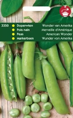 Markerbsen (Pisum sativum 'Wunder van Amerika') Samen