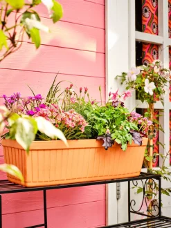 Mega Collections Balkonkasten Floreira terrakotta 59 x 19 x 18 cm