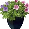 Mega Collections Blumentopf Debora schwarz D 22 H 21 cm