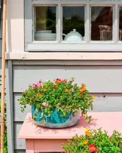 Mega Collections Pflanzschale Celadon Glasur D 21 cm