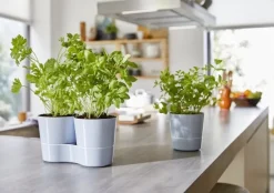 Mepal Kräutertopf 'Twin' weiß 27,3 x 13,7 x 22 cm