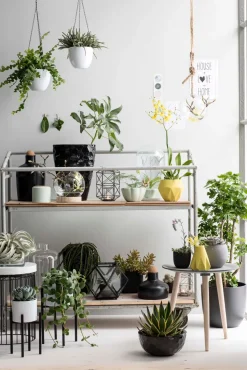 Mica Decorations Blumentopf-Ständer Ascot schwarz D 11,5 cm H 12,5 cm