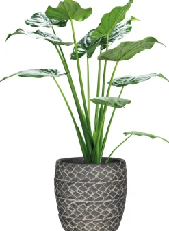 Mica Decorations Blumentopf Alma dunkelgrau D 13 H 13 cm