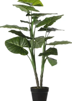 Mica Decorations Kunstpflanze Taro D 70 H 100 cm