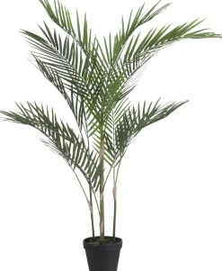 Mica Decorations Kunstpflanze Palme 50 x 50 x 91 cm